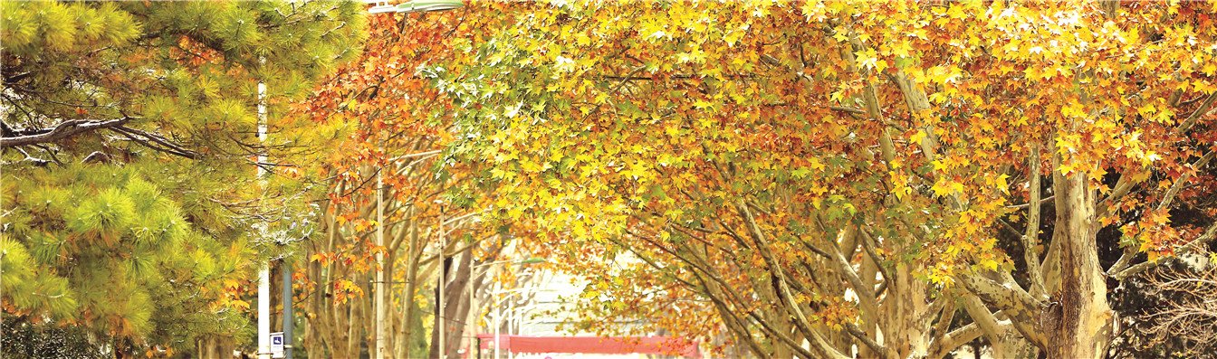 Beijing Normal Uni