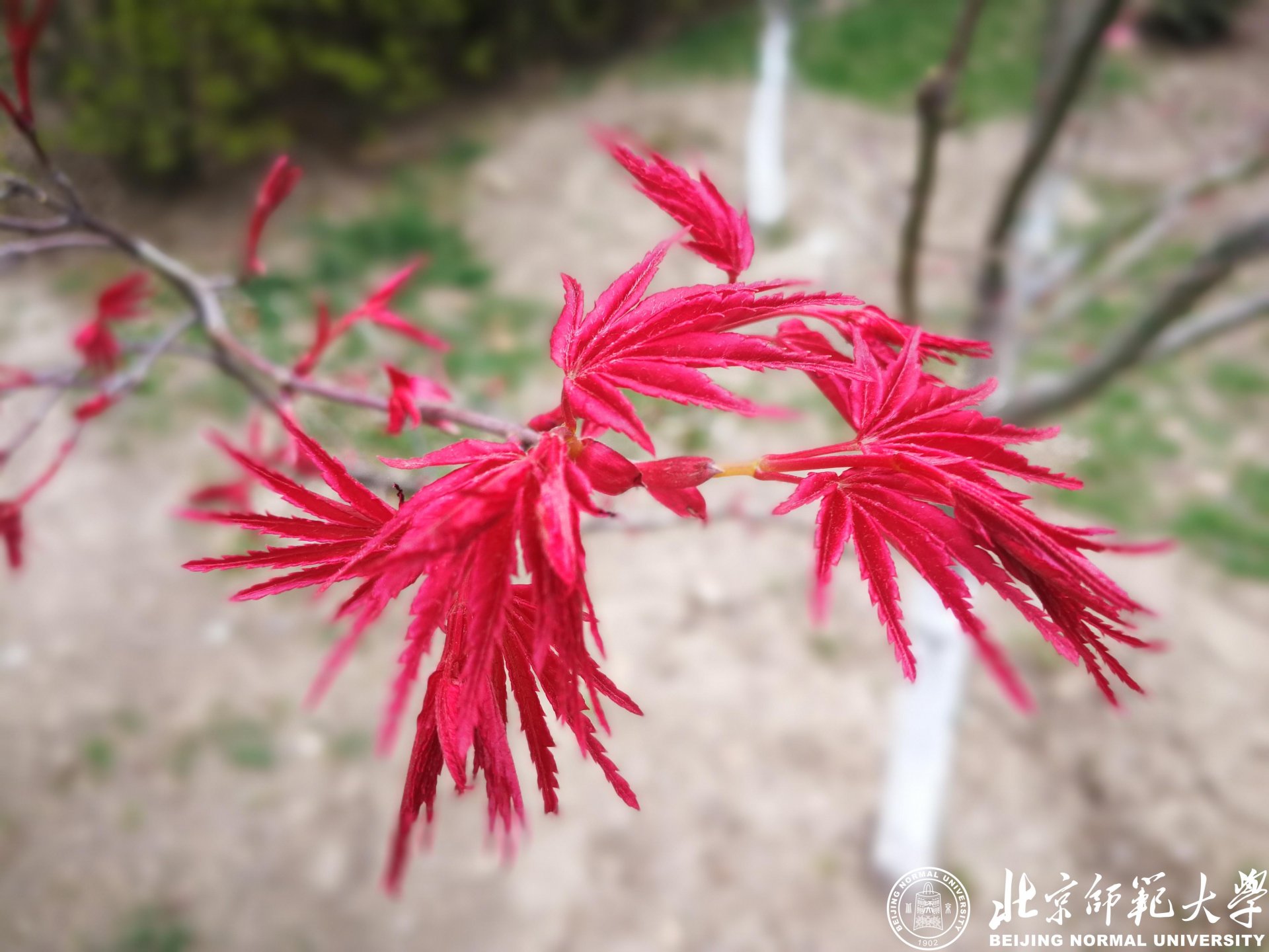 ku游九州酷游平台新人权益