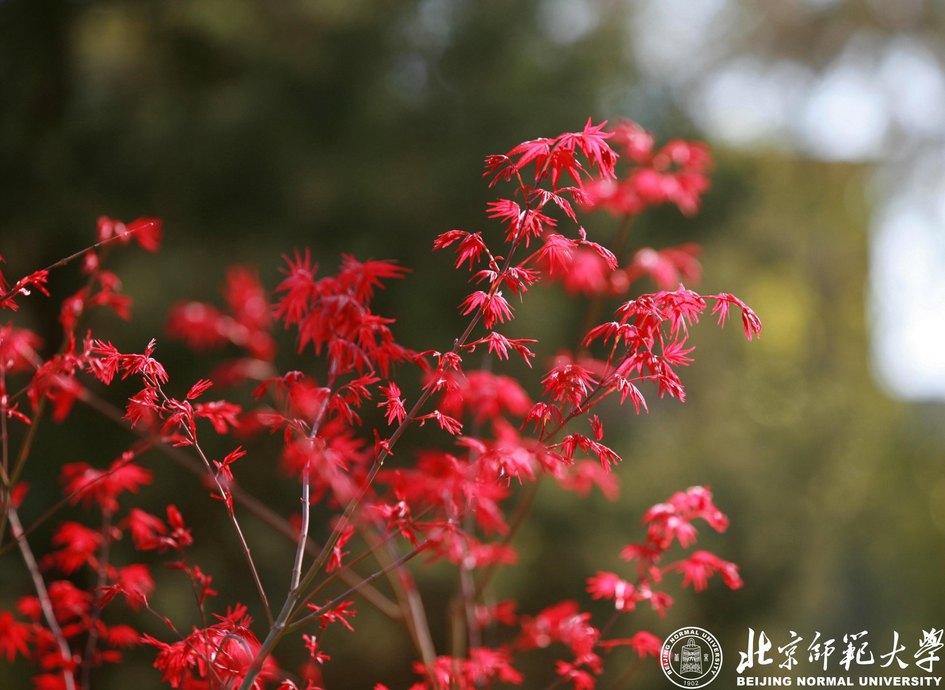 九州酷游ku游登录平台