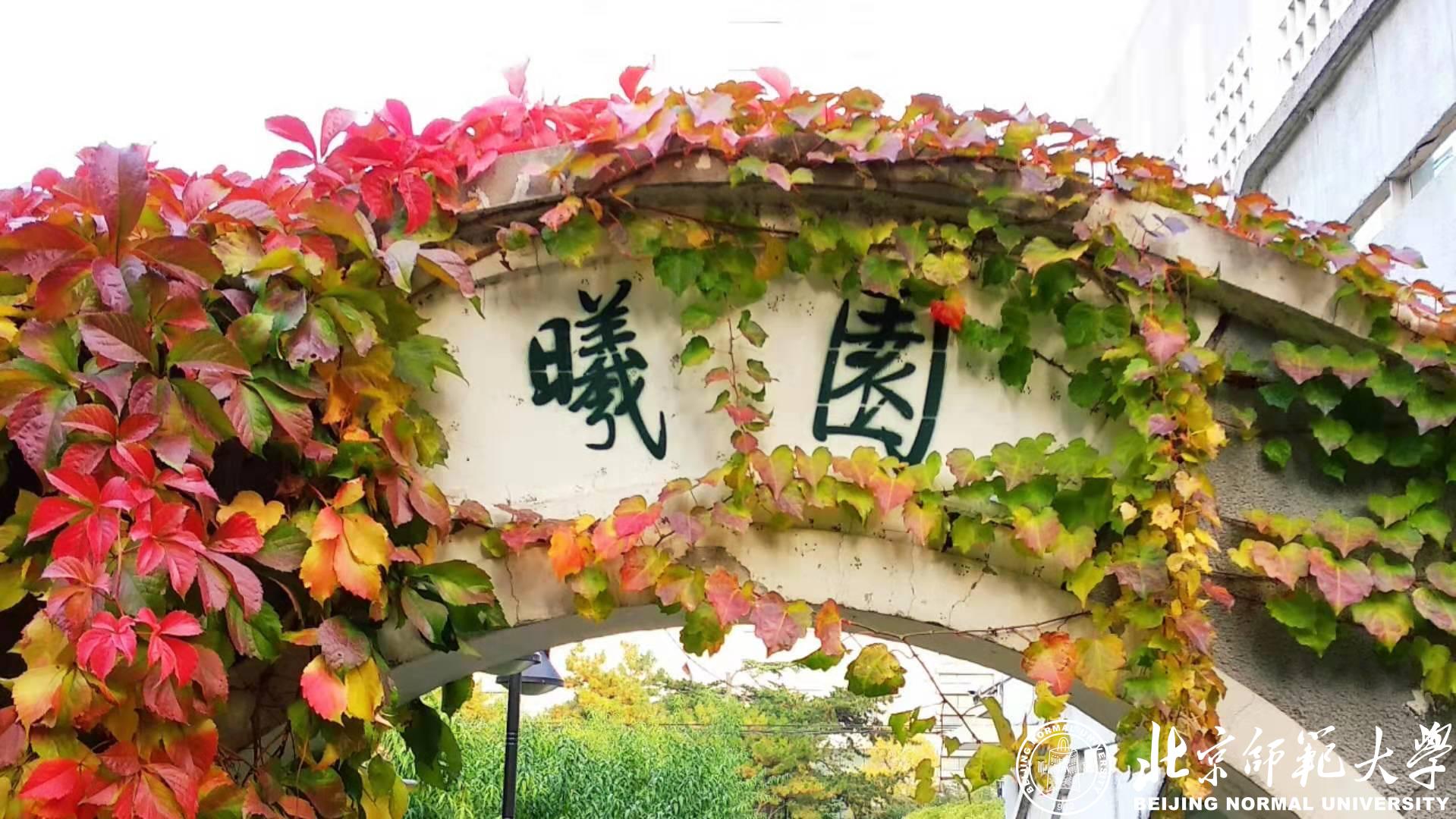 酷暑解药盲盒拆拆看