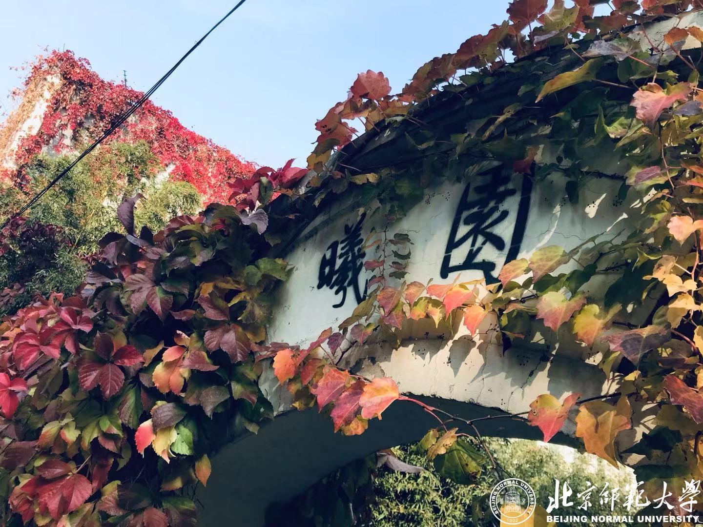 九州酷游ku游登录平台新手怎么玩主页
