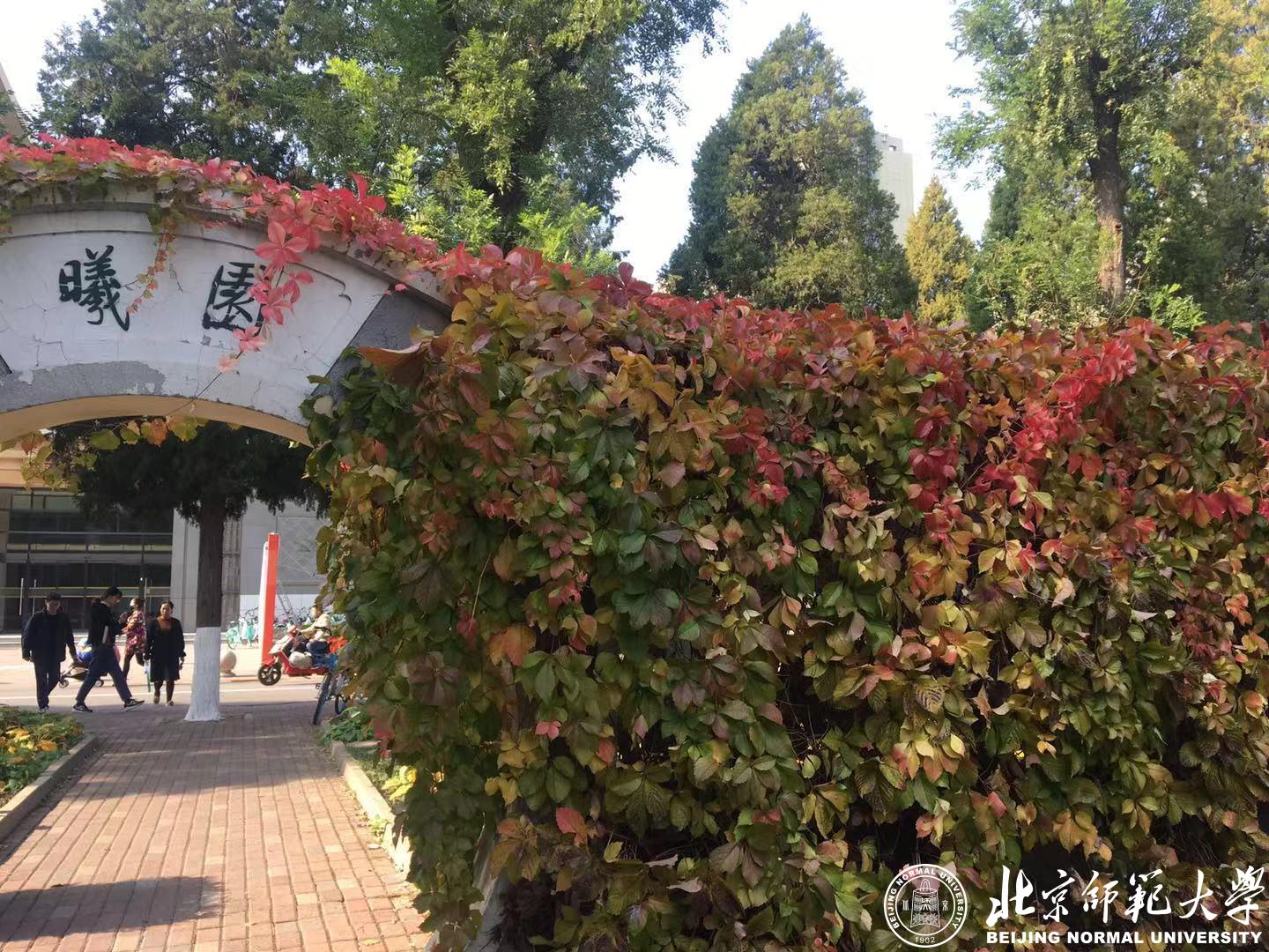 九州酷游ku游登录平台