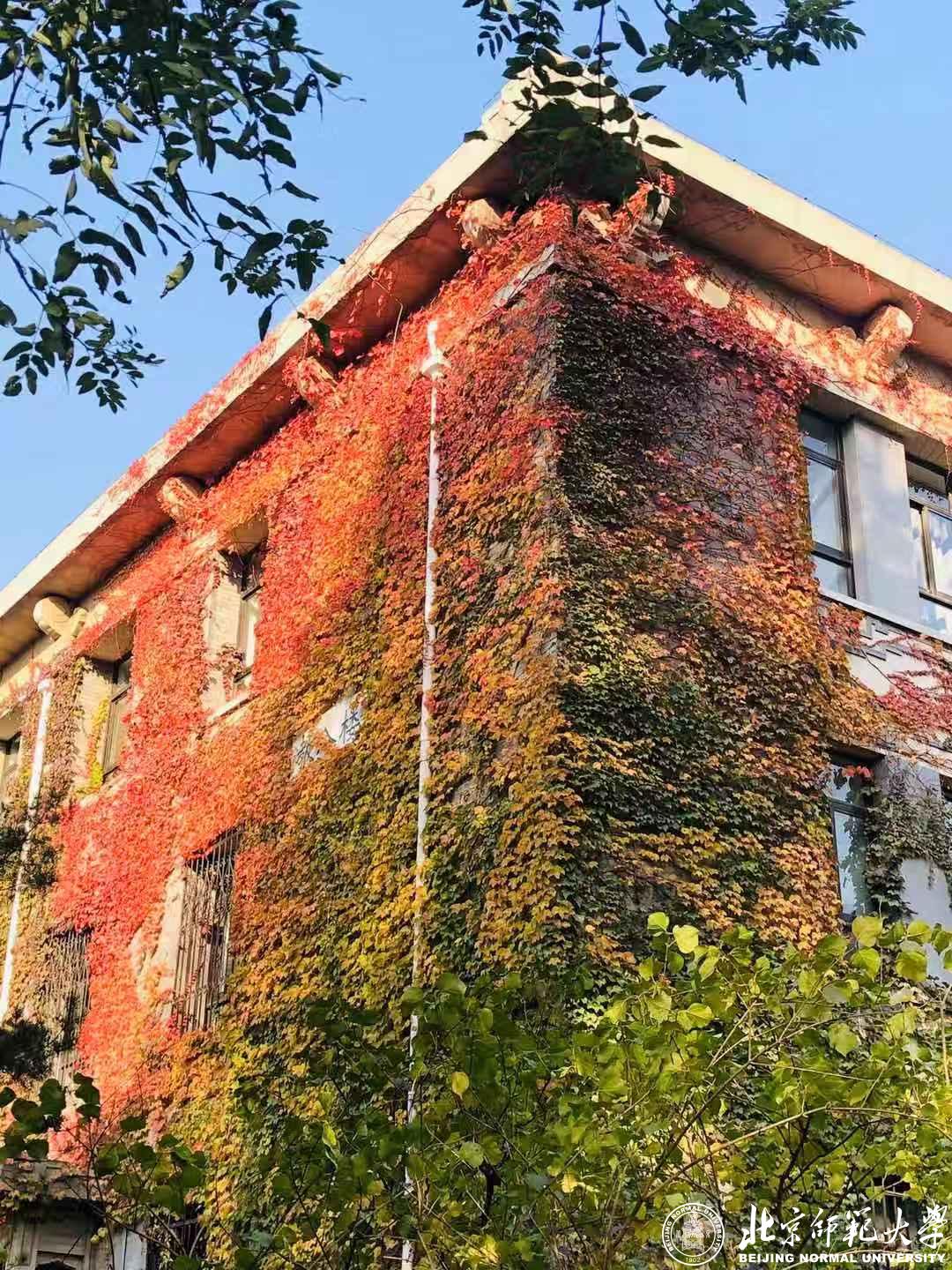 金秋校园随手拍”摄影活动