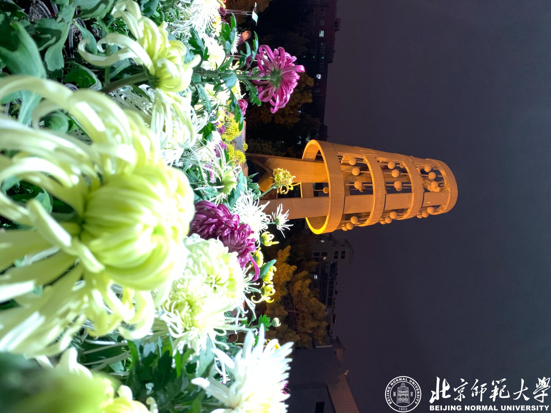 九州酷游ku游登录平台新手怎么玩主页