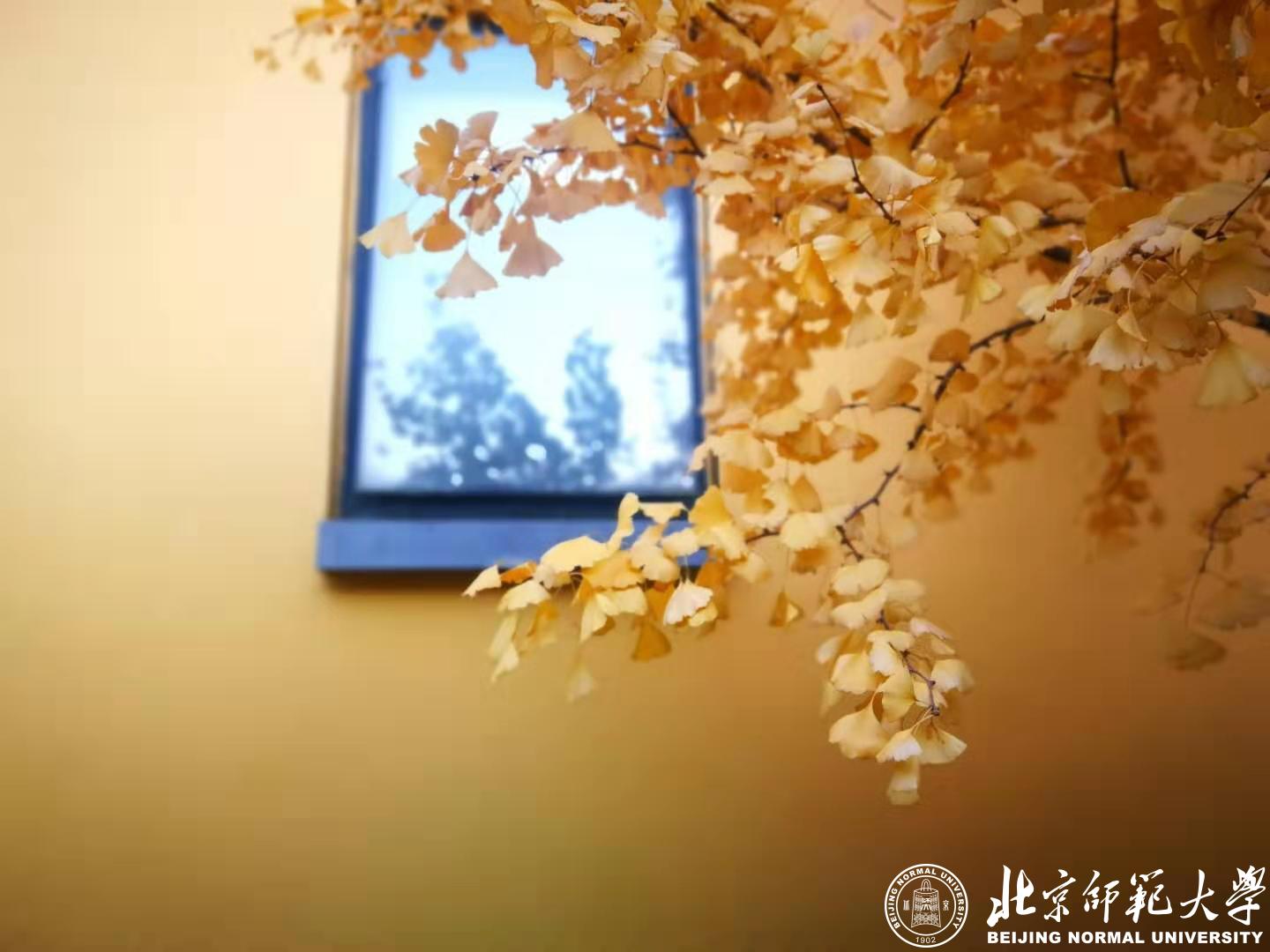 九州酷游ku游登录平台新手怎么玩