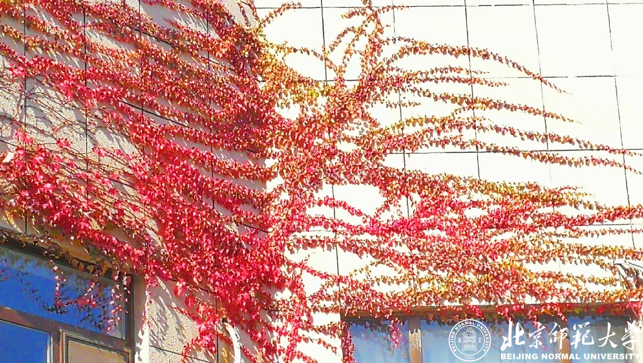 九州酷游ku游登录平台新手怎么玩主页