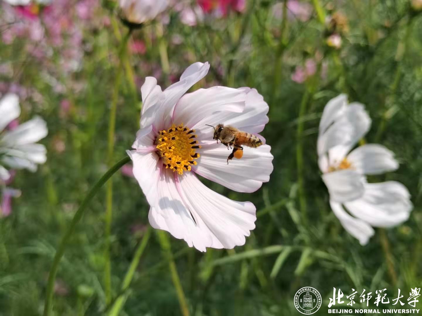 九州酷游ku游登录平台新手怎么玩