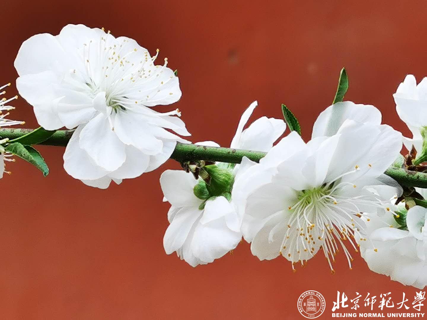 三月悄然走近尾声