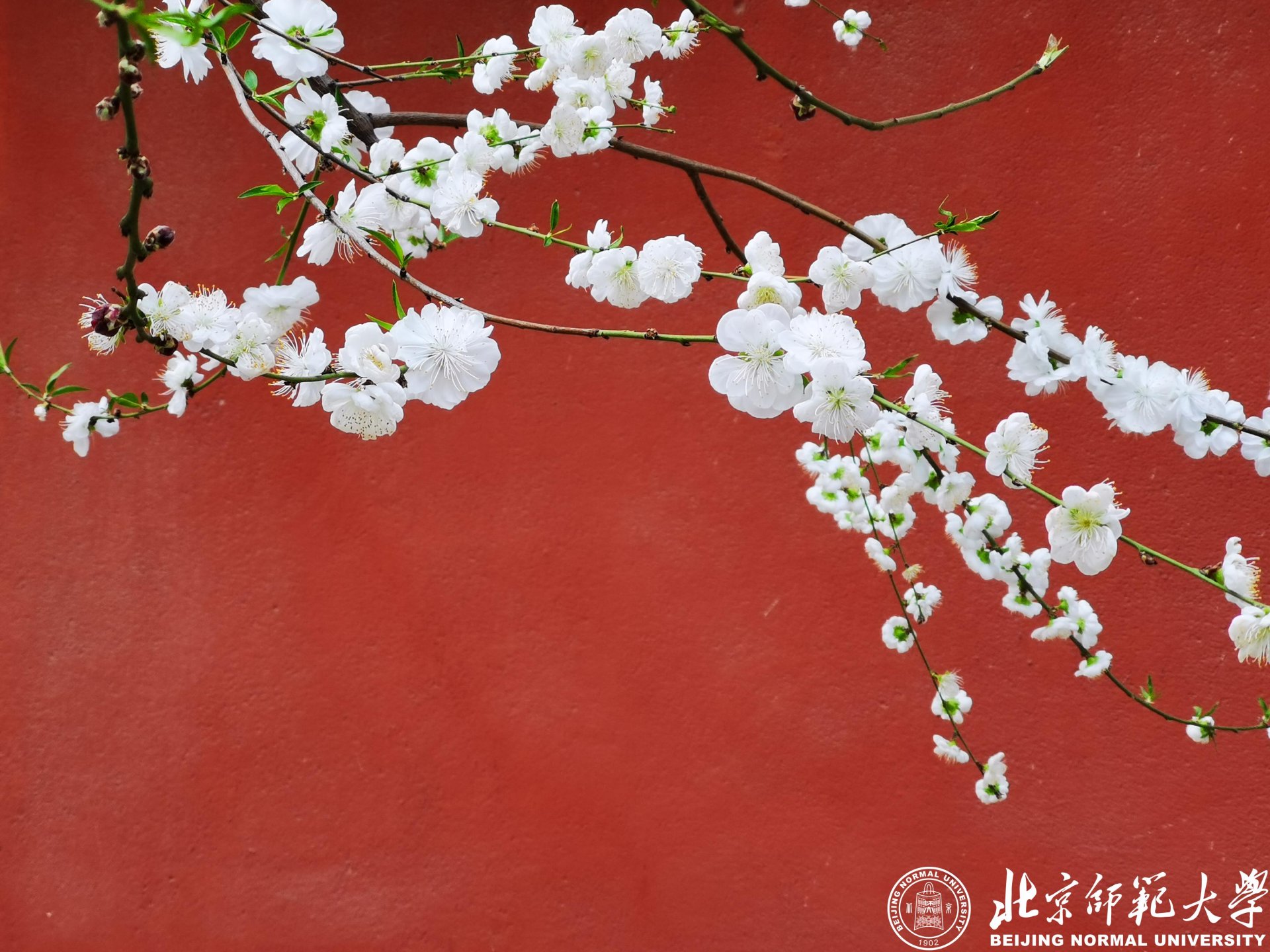 请跟随摄影协会老师们的镜头